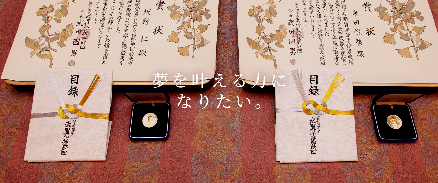 夢を叶える力になりたい。